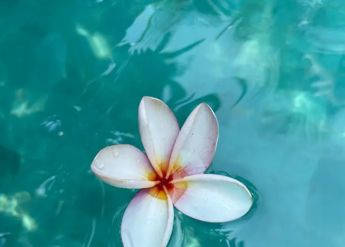 Umakayu Joglo - Boutique Canggu